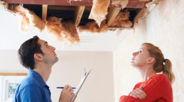 two people looking at insulation 